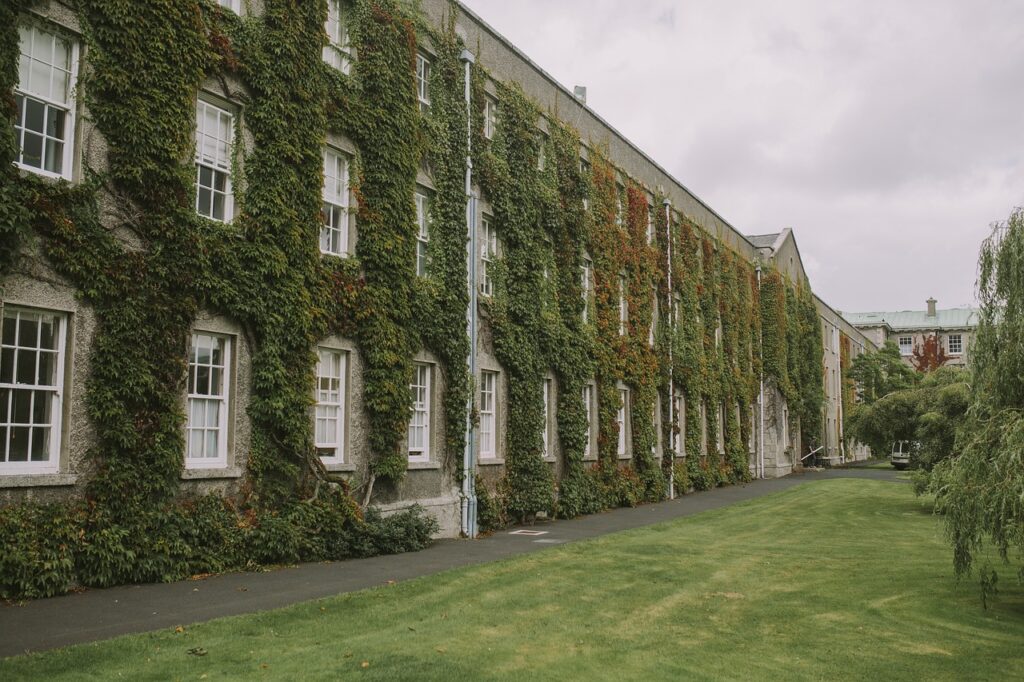 mansion, nature, growth, vines, facade, fall, autumn, leaves, foliage, environment, ivy, windows, college, university, mansion, college, college, college, college, college, university, university, university, university